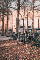Bicycles in Denmark