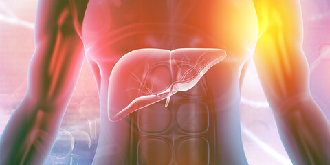 Healthy human body with liver. 3d illustration. - obrazy, fototapety, plakaty