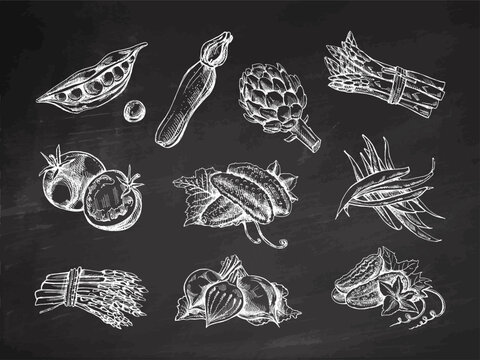 A hand-drawn set of vegetables in sketch style. Vector vegetables on chalkboard background. Vintage doodle illustration. Sketch for cafe menus and labels. The engraved image. Harvesting.