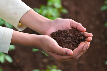 Soil in hand, palm, cultivated dirt, earth, ground, brown land background. Organic gardening, agriculture. Nature closeup. Environmental texture, pattern. Mud on field