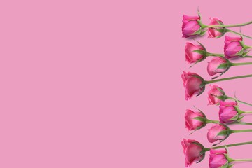 romantic valentine concept Top view photo roses on pink background