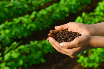 Naklejka na ściany i meble Soil in hand, palm, cultivated dirt, earth, ground, brown land background. Organic gardening, agriculture. Nature closeup. Environmental texture, pattern. Mud on field