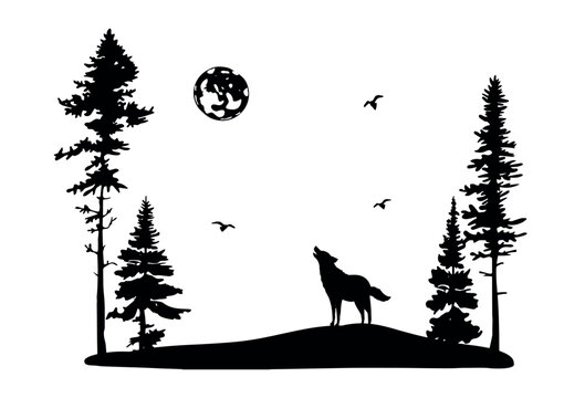 silhouette of a wolf howling at the moon and tall pine trees vector