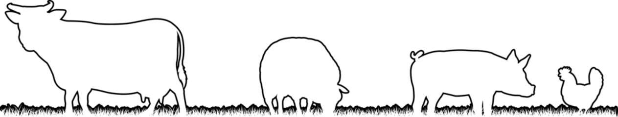A farm animals scene with silhouettes of cows chicken, sheep and pig in a grass field scene landscape - obrazy, fototapety, plakaty