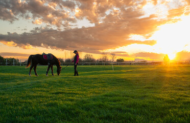 Woman and her horse on a sunset