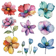 Set of watercolor flowers isolated on a transparent background, png