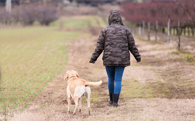 Woman and her labrador dog walking in the nature
