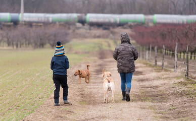 Woman and child with dogs walking in nature