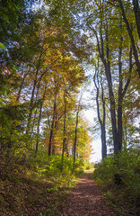 Fort Necessity National Battlefield in Farmington, Pennsylvania