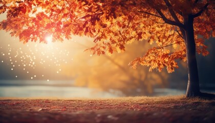 Naklejka na ściany i meble autumn in the park background