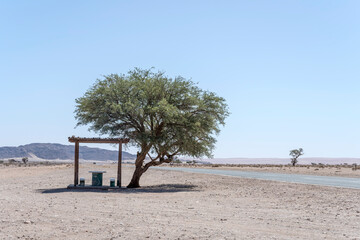 Fototapeta na wymiar tree shadow at rest area on roadside in Naukluft desert, near Sesriem, Namibia