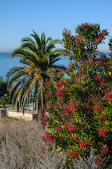 Breathtaking scenic and landscape view of coastline of Rancho Palos Verdes with vegetation and...