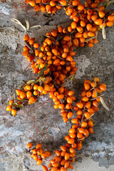 Ripe orange berry, sea buckthorn. Vitamins. Dark background