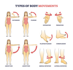 Types of body movements with muscular motion pose examples outline diagram, transparent background. Labeled educational medical movement of hand, arm and leg as extension, flexion.
