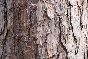 texture