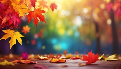 Naklejka na ściany i meble Colorful leaves falling from maple trees