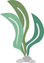 Flat Seawed Illustration