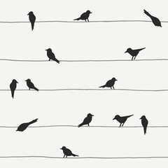 Seamless pattern with birds sitting on wires