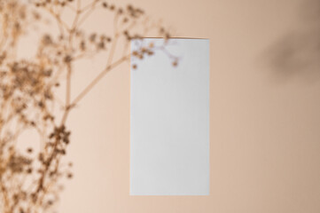 White empty envelope with dried flowers on a beige background with shadow.