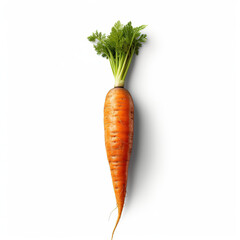 carrot isolated on white background