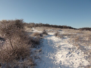 A panorama of a clear blue frosty sky above a series of steppe hills covered with a snow-covered forest.