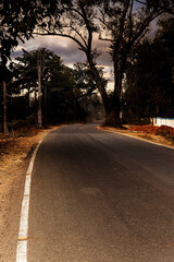 Fototapeta premium Rows of trees along the road and the sky covered with thick black rain clouds