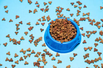 Dry cat food in a plate on a blue background, close-up. Complete Cat Nutrition