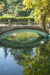 Fototapeta na wymiar Scenic view of a pond in a park