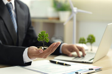 Businessman holding coin with a tree growing on money coin stack. Investment Ideas and Green...