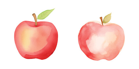 an apple fruit watercolor vector