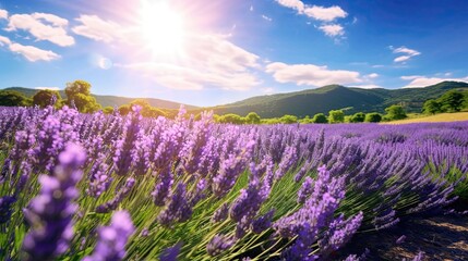 Lavender fields, Provence's golden sun, picturesque landscape, tranquility, natural allure, bloom gracefully. Generated by AI.