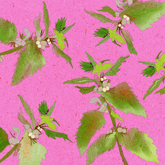 Ilustracja grafika motyw kwiatowy roślinny zielone pokrzywy na różowym tle.
