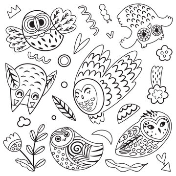 Coloring page. Black and white set of cute decorative owls and small nature elements. 