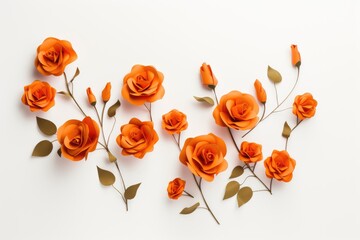 orange roses on white background with copy space. flat lay, top view