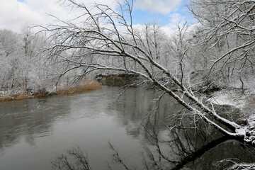winter tree over river - 713069403