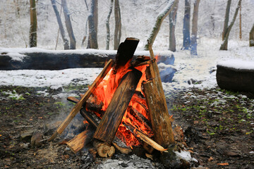 burning wood in winter forest - 713069423