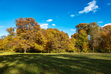 Golden autumn view in famous Munich relax place - Englischer Garten. Munich, Bavaria, Germany