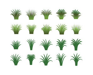 Fototapeta na wymiar Grass Icons Set - Isolated On White Background. Grass Vector Illustration.