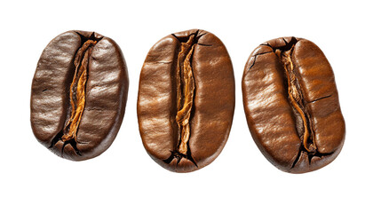 Fototapeta premium Coffee beans isolated on a transparent background. 3d rendering