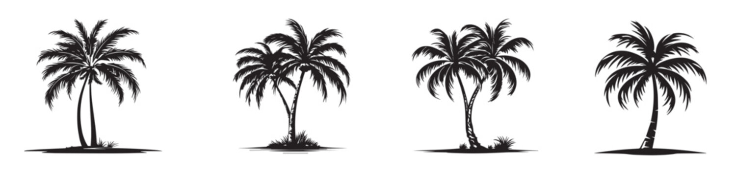 palm trees silhouette set vector images