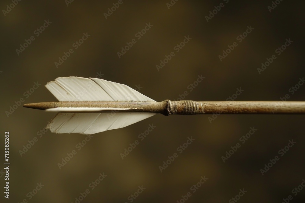 Poster Close-up shot of an arrow with a feather on it. Versatile image that can be used in various contexts