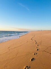 Warm colors of the seascape, sand sea coastline, sea waves on the sand, clear blue sky, no people, empty beach