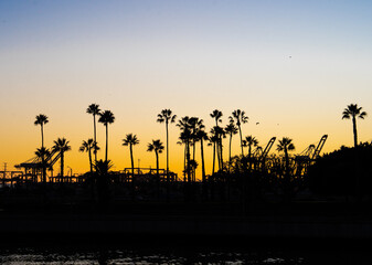 the sun sets over palm trees near a amusement park and roller coaster ride