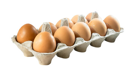 Eggs in a carton box isolated on transparent background.