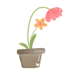 flowers in a pot