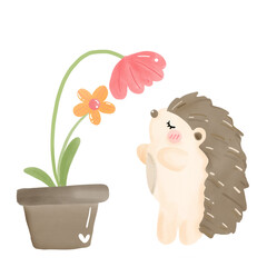 hedgehog and flowers