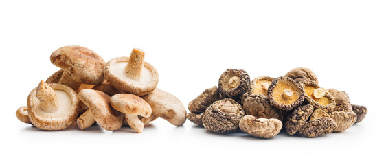 Fresh and dried shiitake mushrooms isolated on white background.