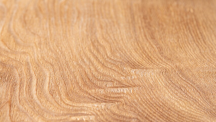 Close-up of oak wood with abstract high-contrast natural background