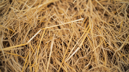 Close-up of a dry straw texture.
