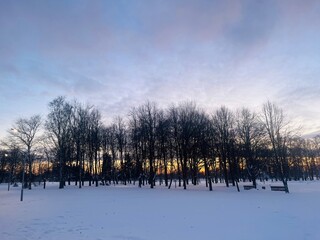 Winter park in the evening time, snow in the park, sunset park, winter landscape